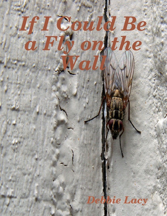 If I Could Be a Fly On the Wall