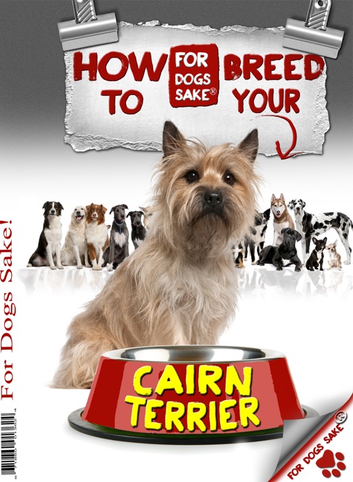 How to Breed Your Cairn Terrier