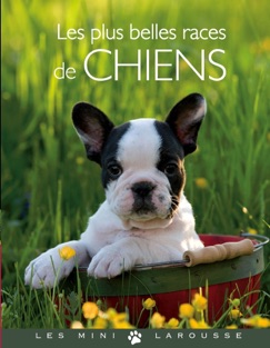 Les plus belles races de chiens - Brigitte Bulard-Cordeau