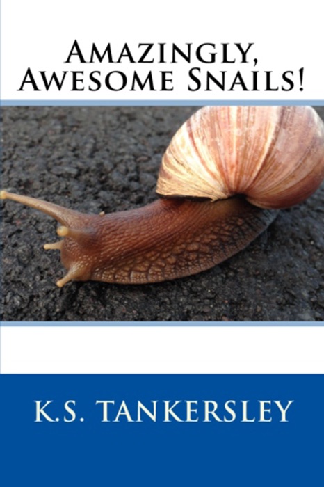 Amazingly Awesome Snails!