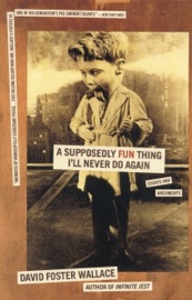A Supposedly Fun Thing I'll Never Do Again - David Foster Wallace