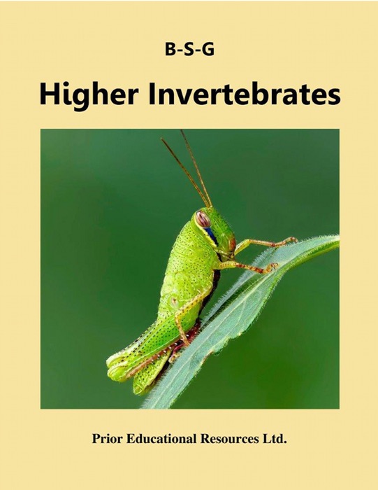 Higher Invertebrates