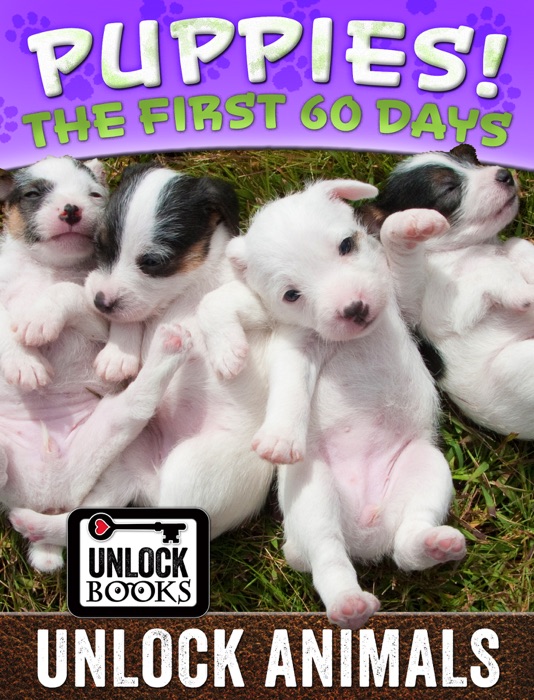 Unlock Animals - Puppies!
