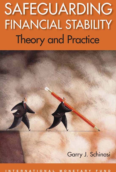 Safeguarding Financial Stability: Theory and Practice