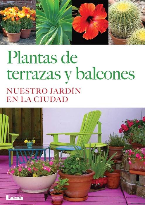 Plantas de terrazas y balcones