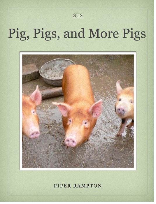 Pigs, Pigs and More Pigs