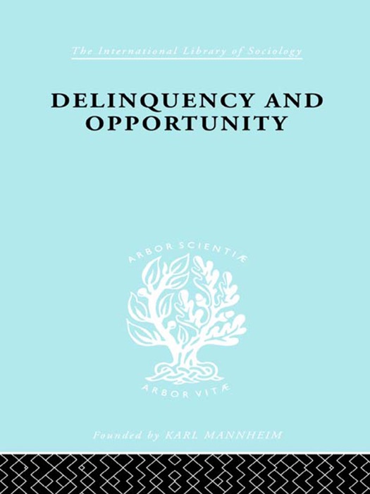 Delinquency and Opportunity