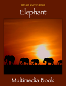 Elephant - Winktolearn & Virtual GS