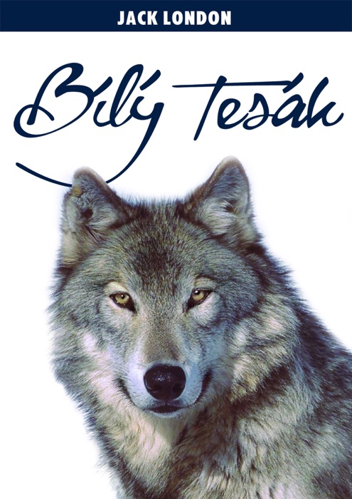 Bílý tesák