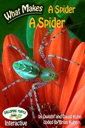 What Makes: A Spider a Spider