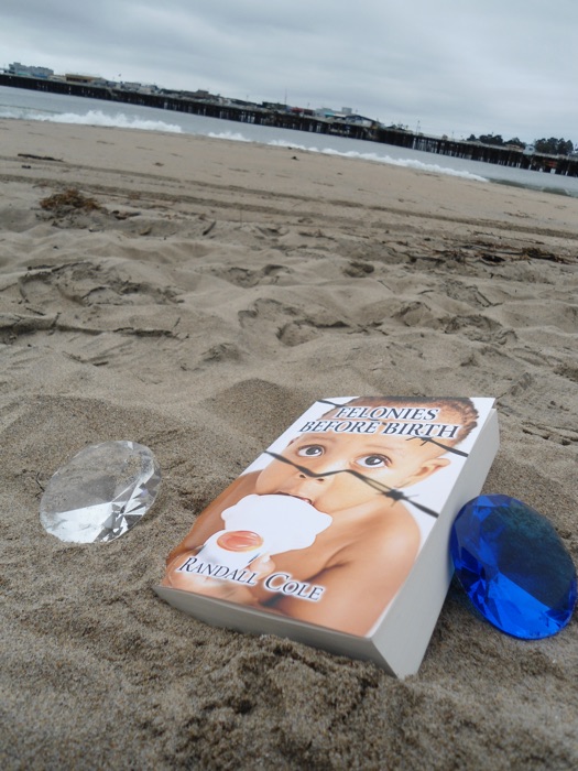 Felonies Before Birth