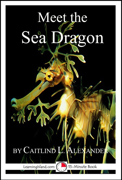 Meet the Sea Dragon: A 15-Minute Book for Early Readers