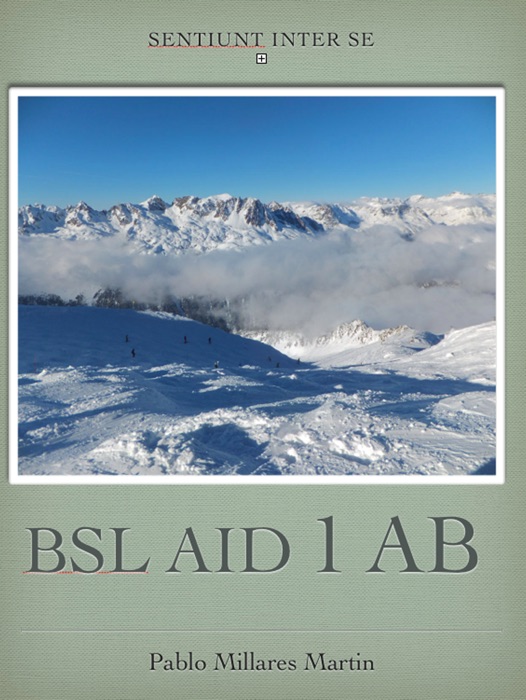 BSL Aid 1 AB