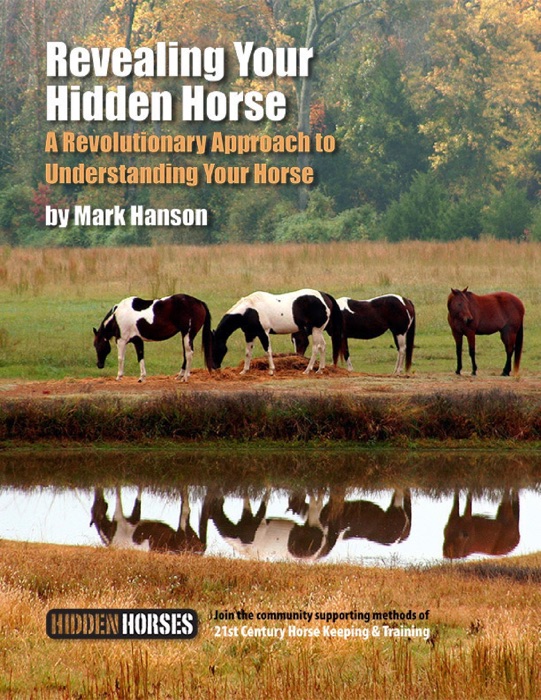 Revealing Your Hidden Horse