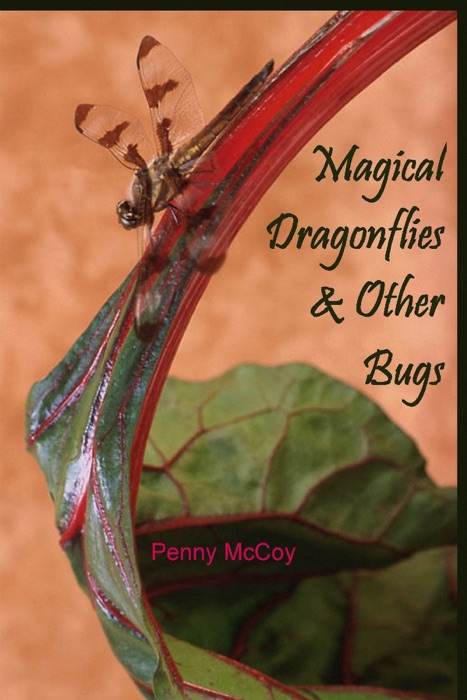 Magical Dragonflies & Other Bugs