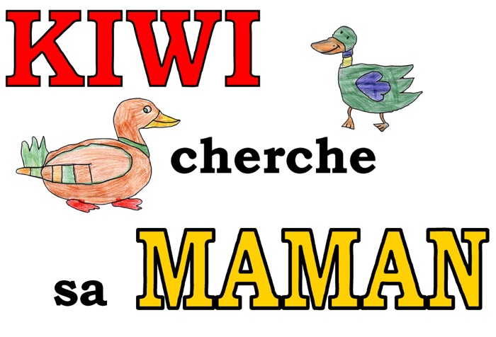 Kiwi cherche sa maman