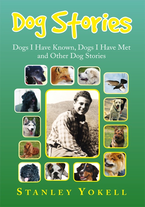 Dog Stories