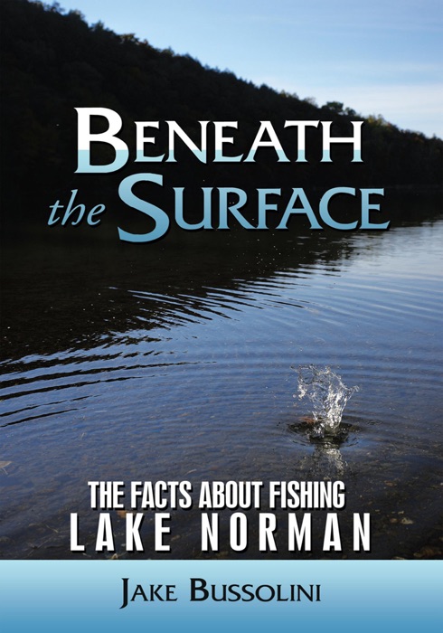 Beneath The Surface