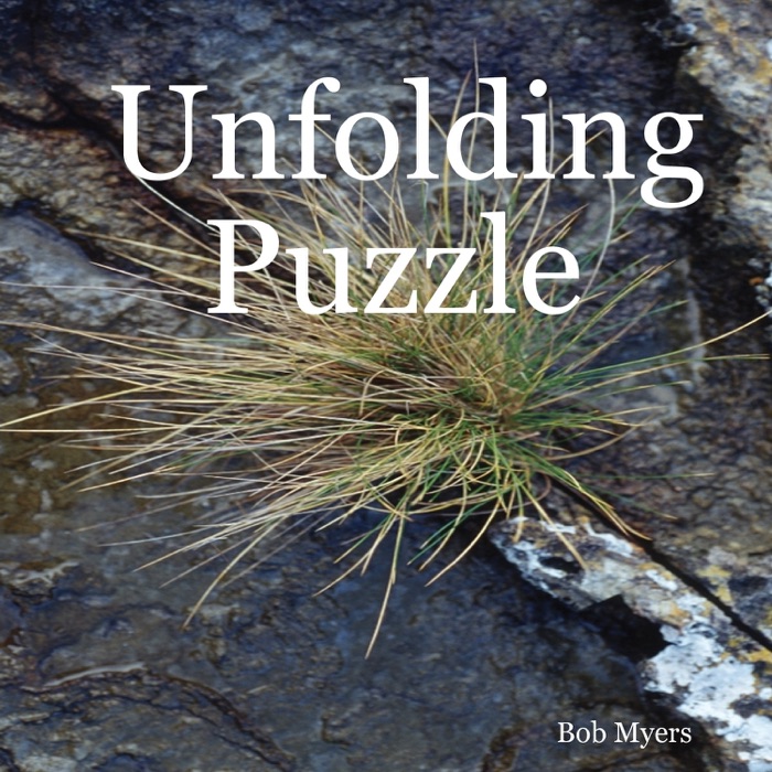 Unfolding Puzzle