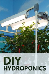 DIY Hydroponics