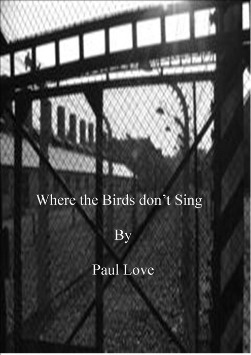 Where the Birds don't Sing