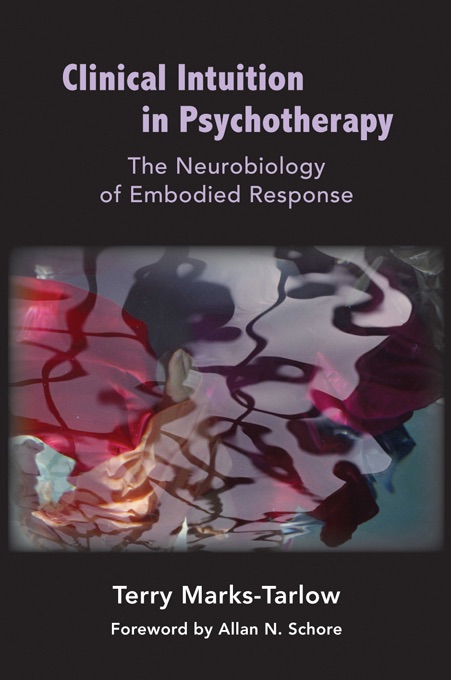 Clinical Intuition in Psychotherapy: The Neurobiology of Embodied Response (Norton Series on Interpersonal Neurobiology)