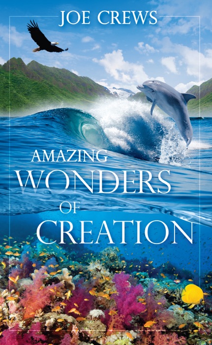 Amazing Wonders of Creation