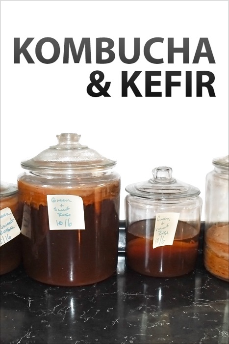 Kombucha and Kefir