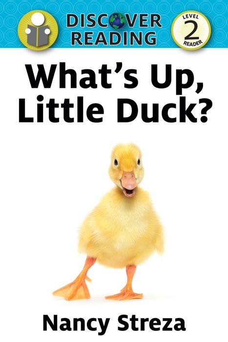 What's Up, Little Duck?