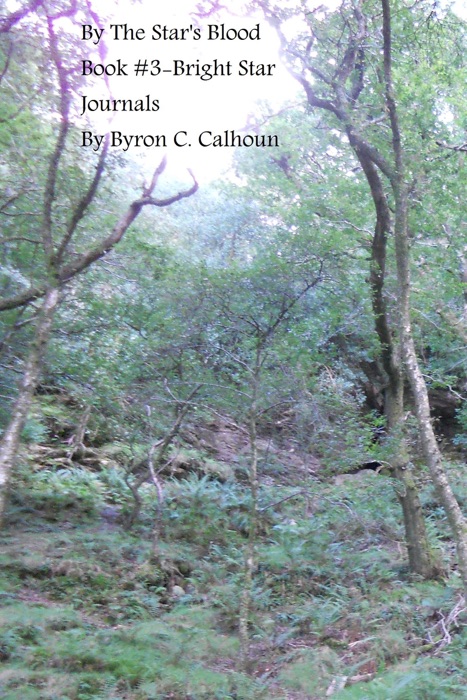 By the Star's Blood - Book #3 Bright Star Journals