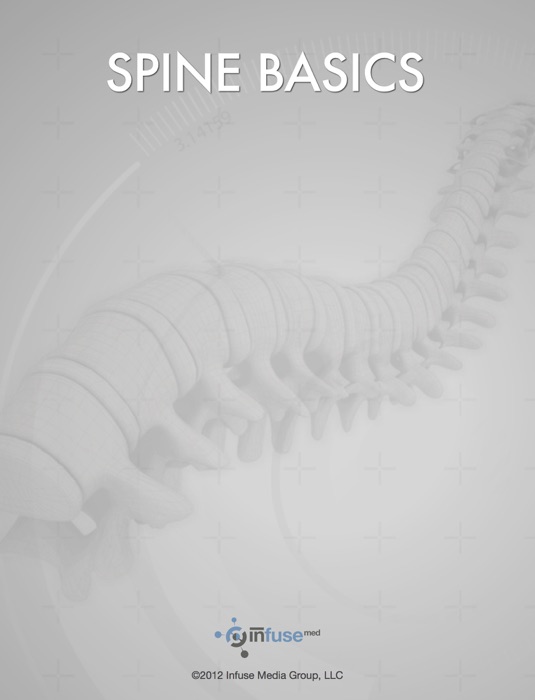 Spine Basics