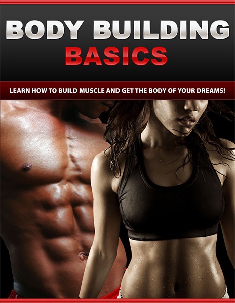 Body Building Basics