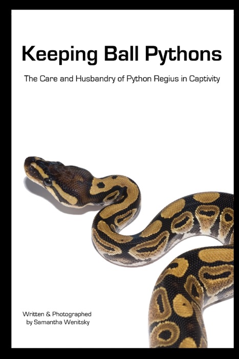 Keeping Ball Pythons