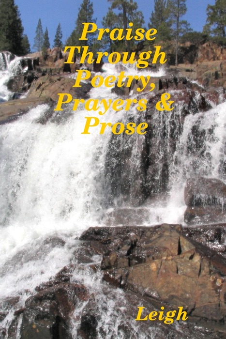 Praise Through Poetry, Prayers & Prose