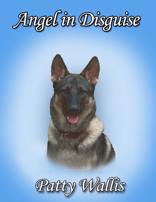 Angel in Disguise