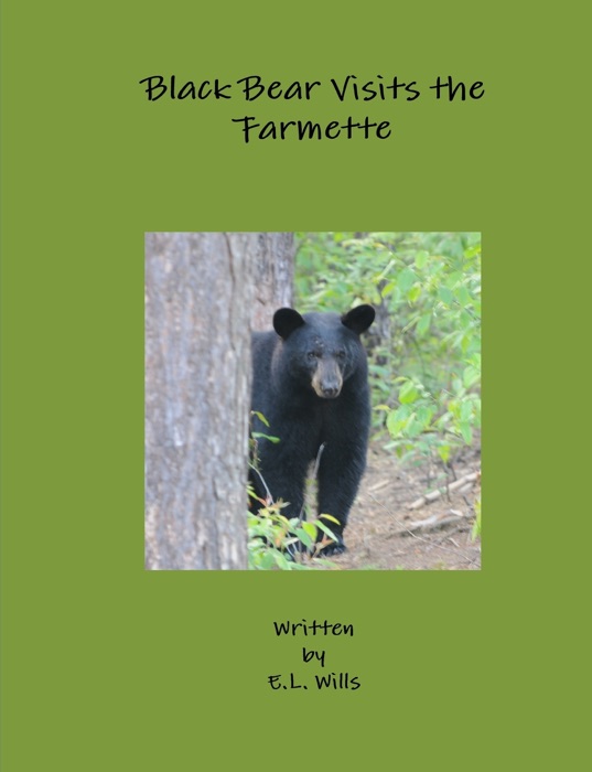 Black Bear Visits the Farmette
