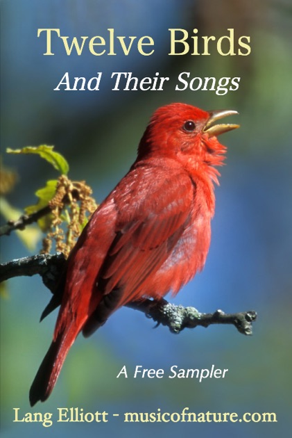 Twelve Birds and Their Songs by Lang Elliott on iBooks