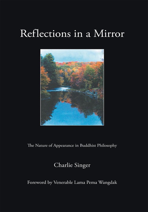 Reflections in a Mirror