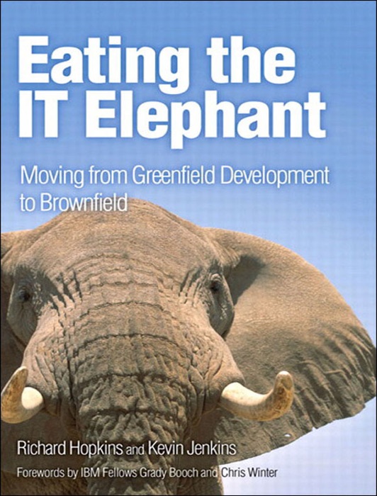 Eating the IT Elephant