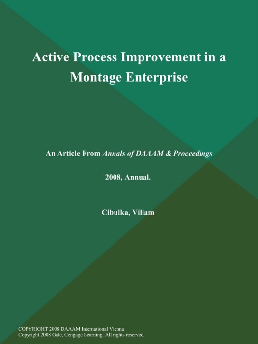 Active Process Improvement in a Montage Enterprise