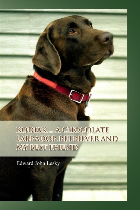 Kodiak ... a Chocolate Labrador Retriever and My Best Friend