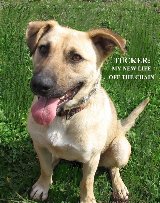 Tucker:  My New Life Off The Chain