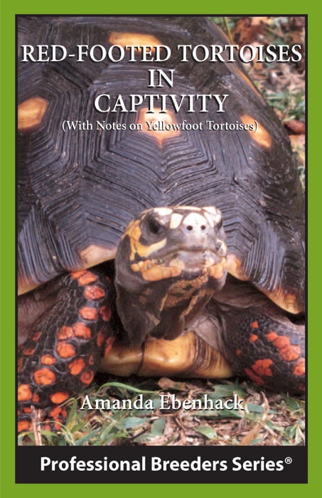 Red-footed Tortoises in Captivity