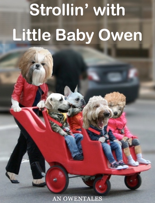 Strollin with Little Baby Owen, an ASL & English Story