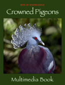 Crowned Pigeons - Winktolearn & Virtual GS
