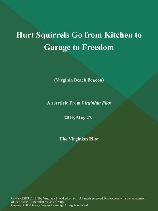 Hurt Squirrels Go from Kitchen to Garage to Freedom (Virginia Beach Beacon)