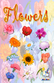 Flowers - Magic Books