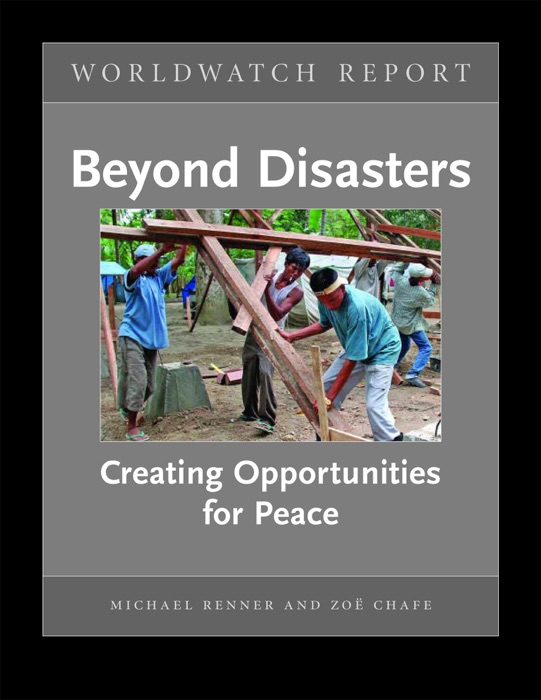 Beyond Disasters