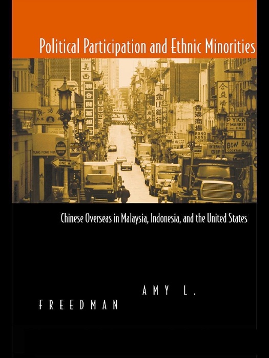 Political Participation and Ethnic Minorities