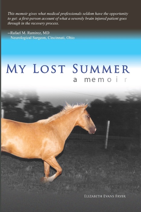 My Lost Summer